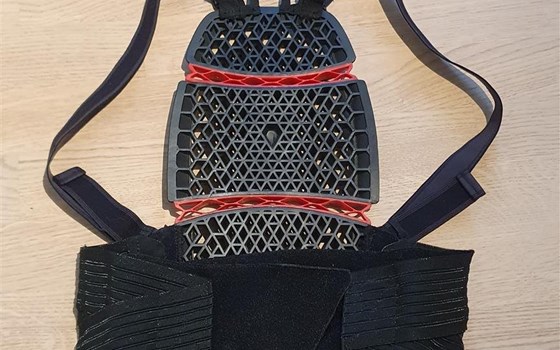 Rückenprotektor - Bild 2