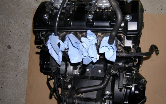 kompletter Motor Z900 92 KW / 125PS Baujahr 2022 - Bild 3