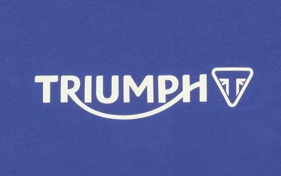 CARTMEL BLUE TEE - Bild 2