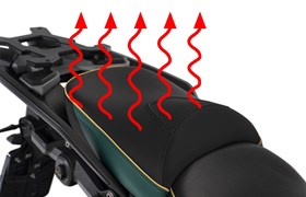 Beifahrer Sitzbank AKTIVKOMFORT Smart Plug & Play R 1300 GS - grün-gold - Queens-Edition - Standard