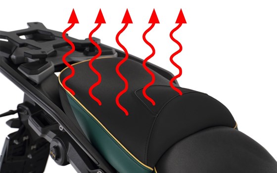 Beifahrer Sitzbank AKTIVKOMFORT Smart Plug & Play R 1300 GS - grün-gold - Queens-Edition - Standard - Bild 1