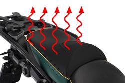 Beifahrer Sitzbank AKTIVKOMFORT Smart Plug & Play R 1300 GS - grün-gold - Queens-Edition - Standard