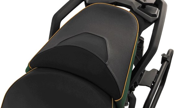 Beifahrer Sitzbank AKTIVKOMFORT Smart Plug & Play R 1300 GS - grün-gold - Queens-Edition - Standard - Bild 2