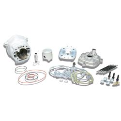 Rennzylinder MALOSSI MHR Team 79 ccm 3112988 für DERBI D50B0/B1 50ccm 2T LC