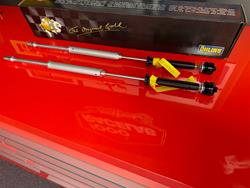 Öhlins NIX 22 Cartridge Kit FKS 204