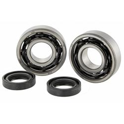 Lagersatz Kurbelwelle Lichtmaschinenseite und Kupplungsseite (LIMA & KULU) 100009 für PEUGEOT liegend 50ccm 2T AC/LC für PEUGEOT Jet Force C-Tech/Ludix Blaster/Classic/Elegance/One/Snake/Trend/Speedfi