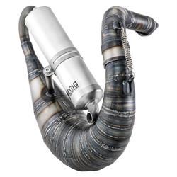 Rennauspuff EGIG Performance Cobra Evo, Stahl unlackiert, Dämpfer: Aluminium Farbe (ESD): silber für Vespa 90/R/SS/100/125/PV/ET3