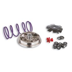 Variator MALOSSI MHR, 518648 für GILERA/PIAGGIO 2000/TPH X/DAN KAT/Runner/Stalker/Extrem/Liberty/NRG MC2 ('98-)