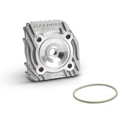 Zylinderkopf MALOSSI MHR 3819676 für MINARELLI liegend 2T AC