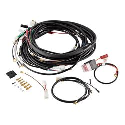 Kabelbaum SIP Performance für Umrüstung auf E-Zündung SIP PERFORMANCE VAPE DC für Vespa P80-150X/PX80-200E/Lusso 1°/P200E