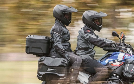 DUSC Sozius-Rückenlehne. Schwarz. Für DUSC M / L. - Bild 3