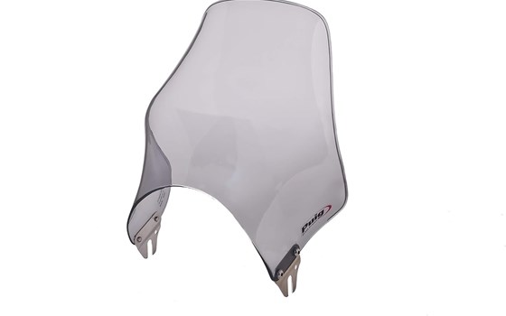 Windschutzscheibe Naked Getönt  - Bild 1