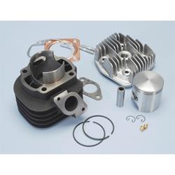 Rennzylinder POLINI Evolution 50 ccm 166.0108 für MALAGUTI F12 50ccm 2T AC