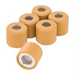 Variatorrollen PIAGGIO 19x17 mm 7,4g, CM1038045 für Vespa GTS/GTS Super/GTV/GT/GT L 125ccm