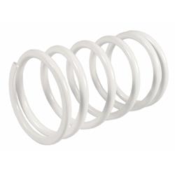 Gegendruckfeder MALOSSI 2912478.W0 für HONDA Silverwing 600ccm