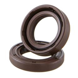 Wellendichtringsatz MALOSSI, Kurbelwelle für Motorgehäuse C-One/RC-One