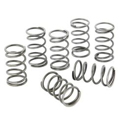 Kupplungsfedern SIP Sport für Vespa 180 Rally VSD 14741 ->/200 Rally/P200E/PX200 E/Lusso -> '94/Cosa 1/T5/LML Star/Deluxe 125-150 2T/4T