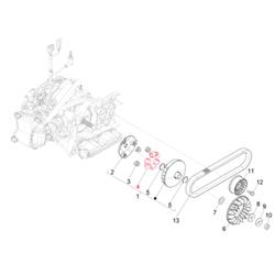 Variatorrolle PIAGGIO 21x17 mm 14,0g, CM294902 für PIAGGIO/Vespa HPE 300ccm 4T LC i.e.