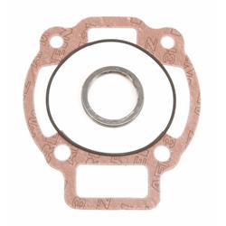 Dichtsatz Zylinder MALOSSI für Art.-Nr. M318237 172 ccm, 11 8762