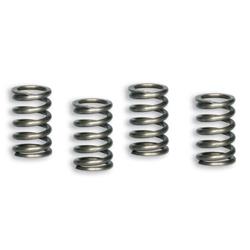 Kupplungsfedern MALOSSI 2913126 für HONDA XRM 100 4T (XRM 110ME)