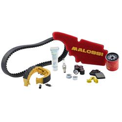 Wartungskit Service für Vespa GTS/GTS Super/GTS Super Sport/GTV 300ccm 4T LC i.e.