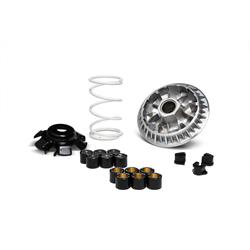 Variator MALOSSI Multivar, 5119314 für KYMCO Dink Steet/Downtown/People/Super Dink/ KAWASAKI J300
