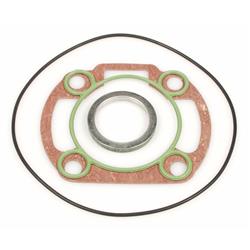 Dichtsatz Zylinder MALOSSI für Art.-Nr. M318284/M318430/M318460/ M318559 MHR Team, 11 8287