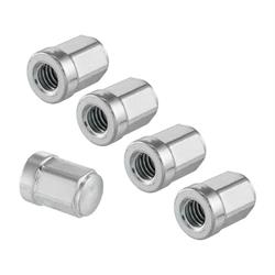 Muttern Kit M8x1,25 mm Sechskant 1K, Felge SIP (schlauchlos), SIP für Vespa (5)