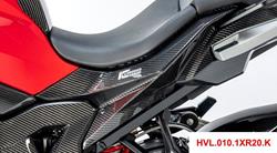 Carbon Heckverkleidung für BMW S 1000 XR (2020- )