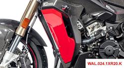 Carbon Kühlerverkleidung (komplett) für BMW S 1000 XR (2020- )