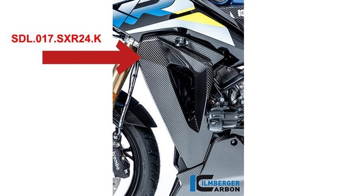 Carbon Seitendeckel an der Kühlerverkleidung für BMW S 1000 XR (2020- ) Carbon Seitendeckel an der Kühlerverkleidung für BMW S 1000 XR (2020- )