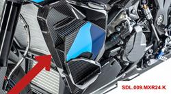 Carbon Seitendeckel an der Kühlerverkleidung mit Wingletaufnahme für BMW S 1000 XR (2020- )