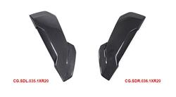 Carbon Seitendeckel an der Kühlerverkleidung für BMW S 1000 XR (2020- )