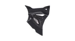Carbon Ritzelabdeckung für BMW S1000R (2021- )