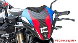 Carbon Windschild für BMW S1000R (2021- )