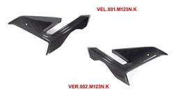 Carbon Verkleidungsseitenteile für BMW S1000R (2021- )