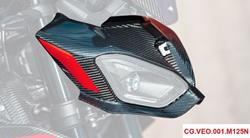 Front Verkleidung für BMW S1000R (2021- )