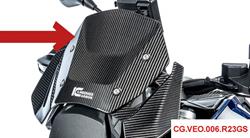 Carbon Windschild für BMW R1300GS & Adventure