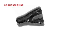 Carbon Auspuffhitzeschutz für BMW R12nineT, R12, R12S & R12G/S