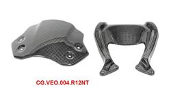 Carbon Windschild für BMW R12nineT, R12, R12S & R12G/S