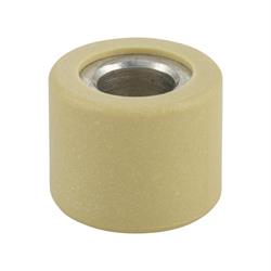 Variatorrolle PIAGGIO 19x15,5 mm 6,0g, CM270202 für Vespa Primavera/Sprint 50ccm 3V 4T iGet