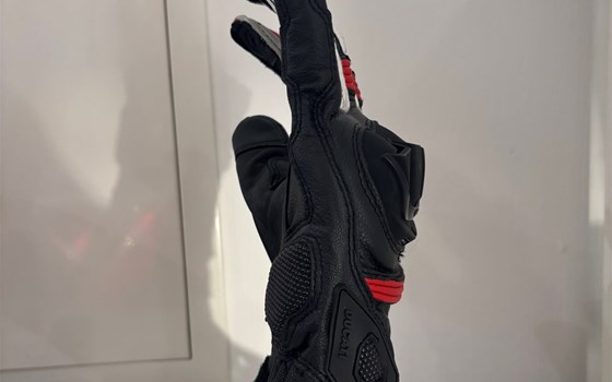 HANDSCHUHE SPORT C4 S/RO/WE M - Bild 2