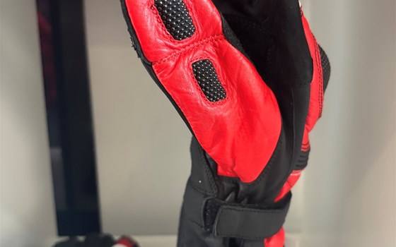 HANDSCHUHE SPEED EVO C2 XXXL - Bild 3