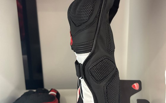 HANDSCHUHE SPEED EVO C2 XXXL - Bild 4