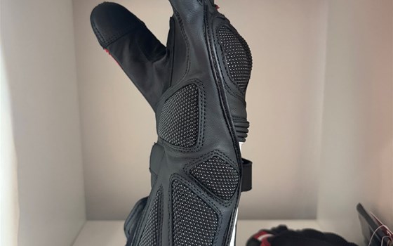 HANDSCHUHE SPEED EVO C2 L - Bild 2