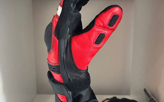 HANDSCHUHE SPEED EVO C2 L - Bild 4