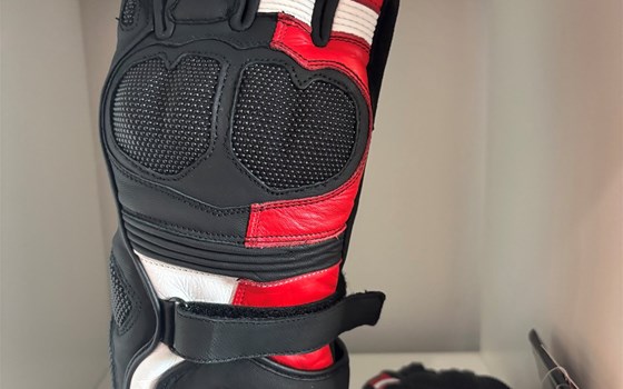 HANDSCHUHE SPEED EVO C2 L - Bild 1