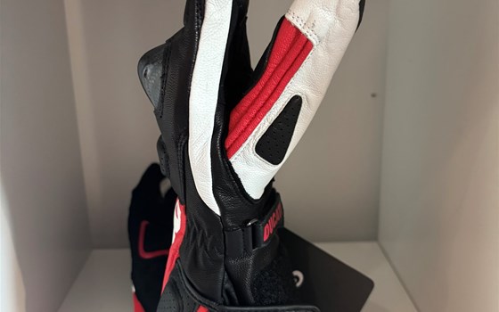 HANDSCHUHE PERFORMANCE C3 RO/W/S L - Bild 2