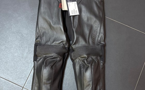 HOSE COMPANY C3 DAME 42 - Bild 1