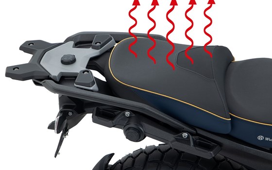 Beifahrer Sitzbank AKTIVKOMFORT mit Sitzheizung Smart Plug - imperialblau-gold - Standard - Bild 1